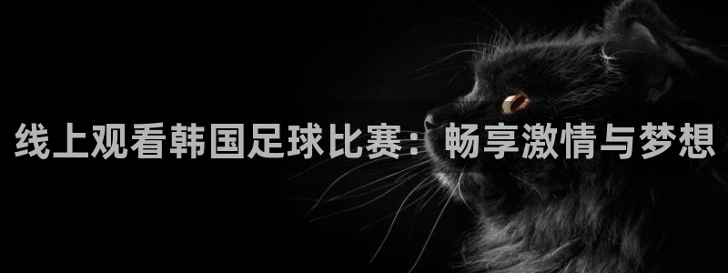 线上观看韩国足球比赛：畅享激情与梦想