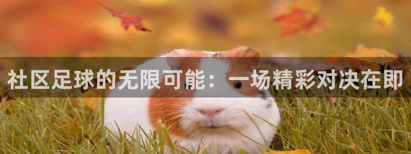 社区足球的无限可能：一场精彩对决在即