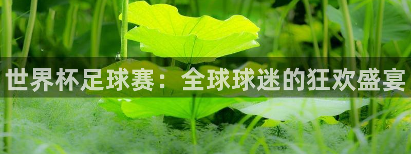 世界杯足球赛：全球球迷的狂欢盛宴