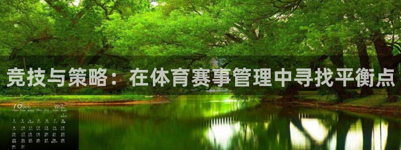 竞技与策略：在体育赛事管理中寻找平衡点