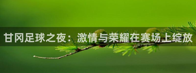 甘冈足球之夜：激情与荣耀在赛场上绽放