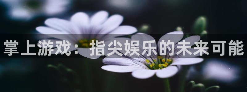 掌上游戏：指尖娱乐的未来可能