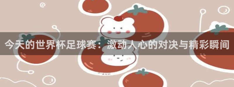 今天的世界杯足球赛：激动人心的对决与精彩瞬间
