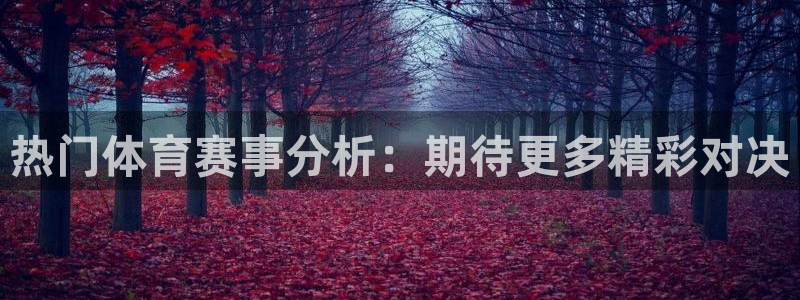 热门体育赛事分析：期待更多精彩对决